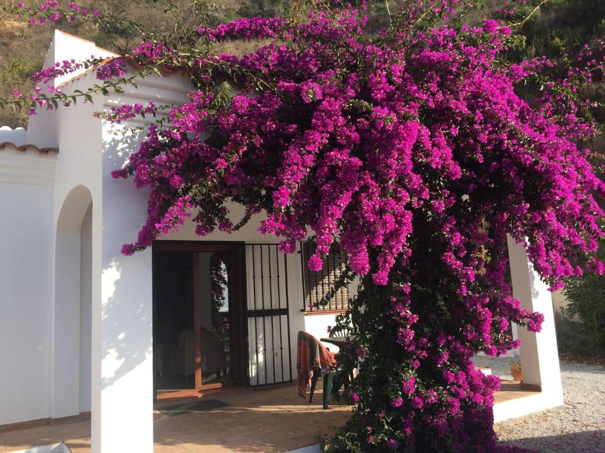 Belvilla By Oyo Casa Martijo Arenas  ภายนอก รูปภาพ